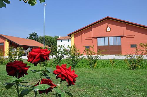 [Cantina Sant'Elena - Cantina]