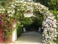 [Ca' delle Rose]