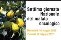 [Giornata del malato oncologico]