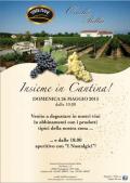 [Insieme in Cantina]