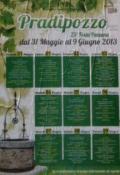 [25° Festa Paesana Pradipozzo ]