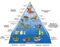 [Principi di corretta alimentazione]
