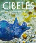 [CIBELES]
