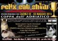 [Felix Cat Show - Coppa dell'Adriatico]