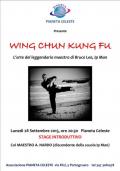 [Wing chun kung fu]