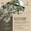 [Il sentiero delle erbe]