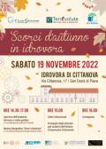 [Scorci d'autunno in idrovora]