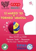 [Torneo S3 Pallavolo]