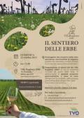 [Il sentiero delle erbe]