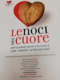 [Le noci del cuore]