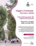 [Maggio a Cordovado, tra rose e storia]