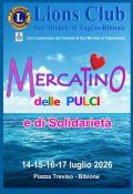 [Mercatino delle Pulci e di Solidarietà]