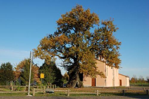 [Fossalta di Portogruaro]