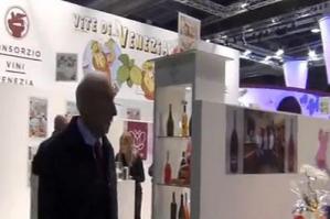 [VISYSTEM al Vinitaly 2013]