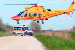 [Morso da una vipera, fotografo in fin di vita ]