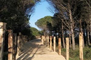 [Al termine i lavori per la pista ciclopedonale del Faro di Bibione]