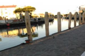 [Riordino del rio interno a Caorle, presto anche la vendita di pesce al dettaglio]