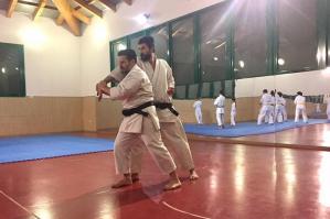 [Le tecniche base e il metodo del M° Iwasaki X Dan protagoniste del 2° Stage di karate Wado Ryu]