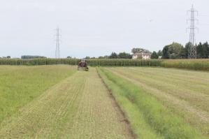 [Contributi Europei a due aziende sanmicheline per l’acquisto di nuove attrezzature]