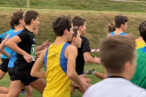 [Ultima tappa del campionato provinciale di corsa campestre]