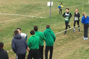 [Ultima tappa del campionato provinciale di corsa campestre]