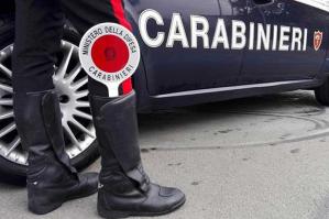 [Piante di Marijuana in giardino a Concordia ]
