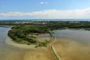 [Bibione, la Valgrande riapre al pubblico]