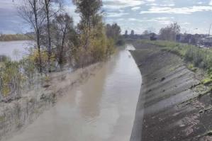 [Piene Tagliamento. Codognotto: “Opere di difesa nel medio corso del fiume”]