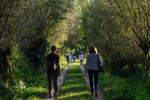 [Nuova passeggiata tra il Cortino di Fratta, Villa Mocenigo e il Bosco Buranello]