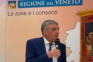 [Invasione dei cinghiali nel Veneto orientale: 300 mila euro di danni al mais]