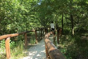 [“Festa in Bosco” alla scoperta del Bosco Bandiziol Prassaccon]