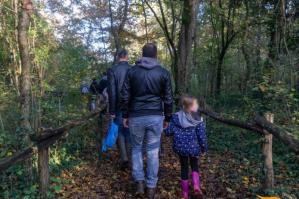 [Alla scoperta dei segreti del Bosco di Alvisopoli in autunno]