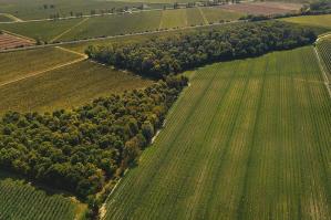 [Villa Bogdano presenta all’Argav la rinascita del bosco di pianura]