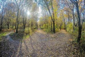 [La natura diventa arte al Bosco delle Lame]