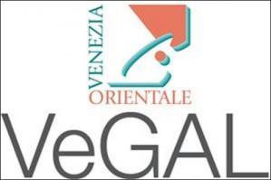 [Rinnovo del Consiglio di Amministrazione di VeGAL]