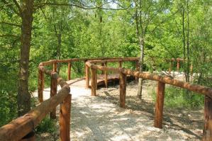 [Legambiente Veneto Orientale, incontro e visita al Bosco Bandiziol]