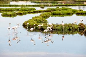 [Al Palazzo Vescovile di Portogruaro la mostra fotografica 