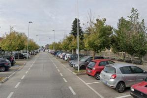[L'Associazione AlberiAmo si attiva per la manutenzione dei tigli nel viale della stazione]