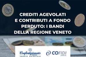 [Oggi l'incontro di Confartigianato sui crediti agevolati e sui contributi a fondo perduto]
