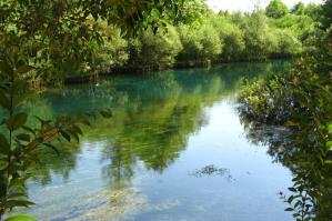[Operazione fiumi 2025 - 6a tappa, Livenza]