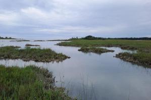 [ECO2SMART Barene della laguna di Caorle: la biodiversità in aiuto contro il cambiamento climatico]