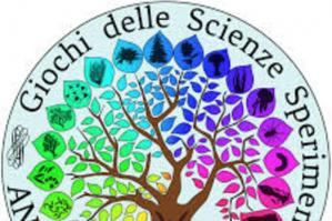 [Tre studenti del “Tito Livio” ammessi alla fase regionale dei Giochi delle Scienze Sperimentali]