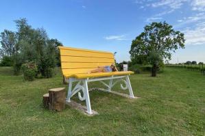 [La primavera di Stajnbech ha i colori del sole di una big bench tra i vigneti]