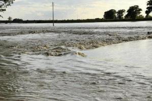 [La laguna di Caorle e Bibione è minacciata da due nemici: il raddoppio della portata del canale Cavrato e le torri di Bibione Pineta]