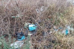 [Mozziconi in spiaggia, l’emergenza silenziosa: due appuntamenti a Caorle per fare la differenza]