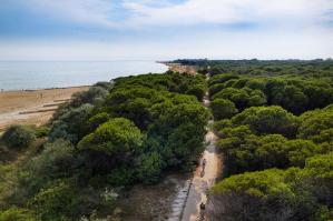 [Bibione, la bicicletta diventa accessibile anche a ciechi e ipovedenti: al via le escursioni &acirc;��Riding in The Dark&acirc;��]