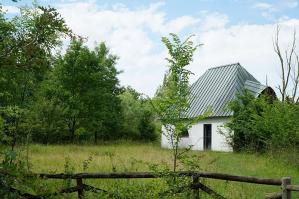 [Dal banco al bosco: a San Stino gli studenti dell'IIS Scalcerle raccontano il monitoraggio ambientale del bosco di Bandiziol]
