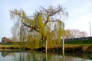 [Un fiume ricco di storia. Viaggio da Portogruaro a Concordia]
